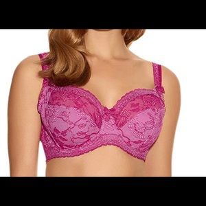 Fantasie Susanna Underwire Bra Fuchsia Size 32K